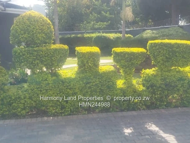 Beautiful 4 bedroomed house to let in Belvedere