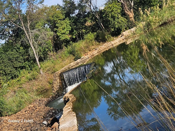 Farm & Agricultural Land