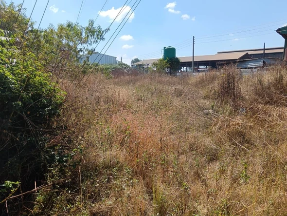 Commercial & Industrial Land