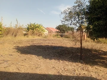 8 Bedroom House