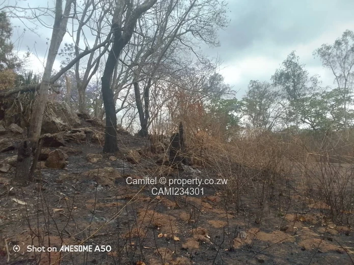 A good potential Investment