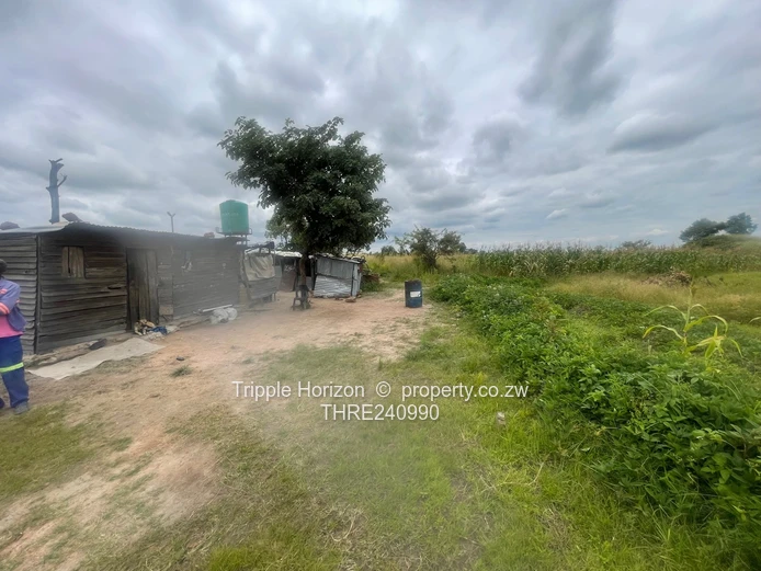 18,000m² Norton Farm — Orchard, Grazing & Main Access