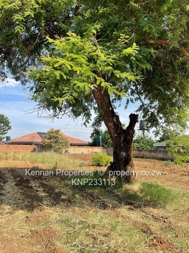 Vacant Stand for sale in Bluff Hill (Sole Mandate)