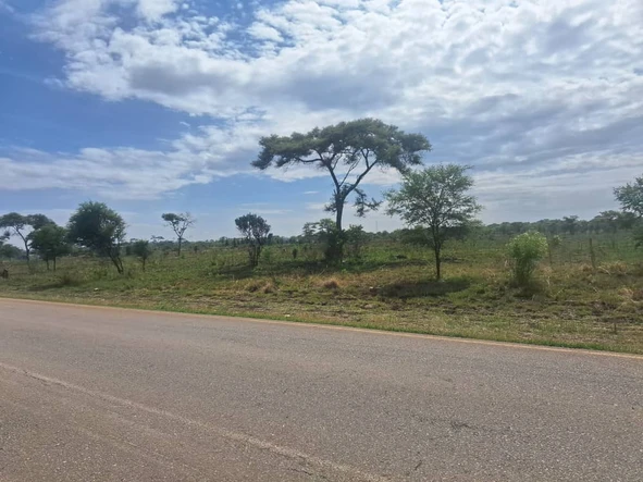 Farm & Agricultural Land