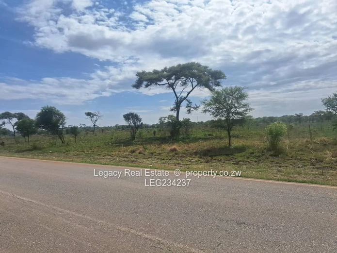 Selous Plot for Sale
