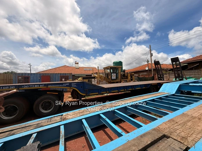 Cold Comfort Stand For Sale