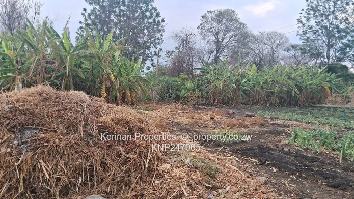 Developer Deal in Highlands