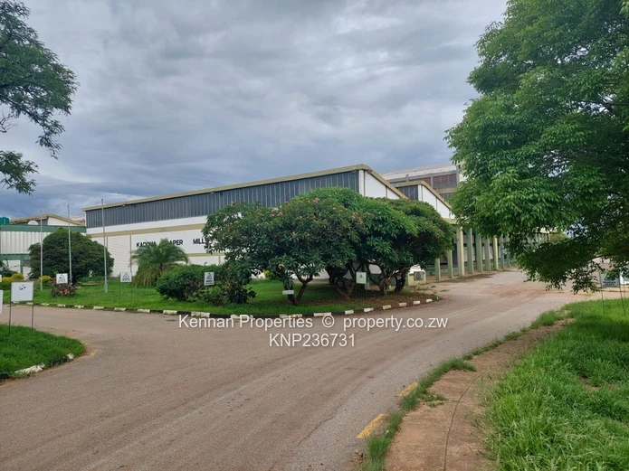 Kadoma Papermills plant for Sale.