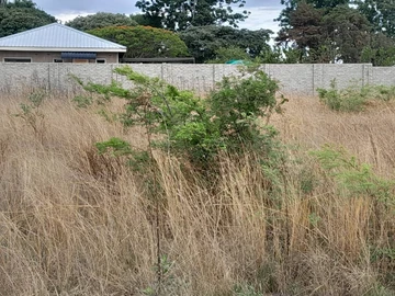 Stands & Residential Land