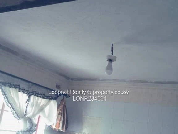 1650m² Marlborough Stand with Brick Cottage & Services