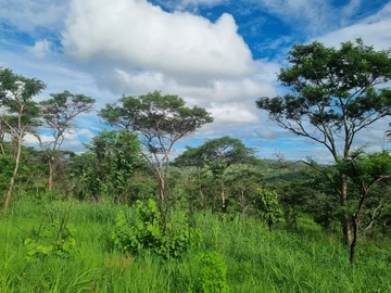 Farm & Agricultural Land