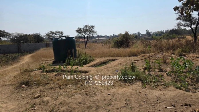 Matsheumhlophe – Opportunity On An Acre