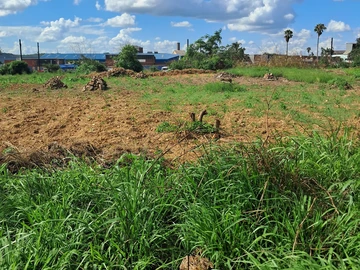 Commercial & Industrial Land