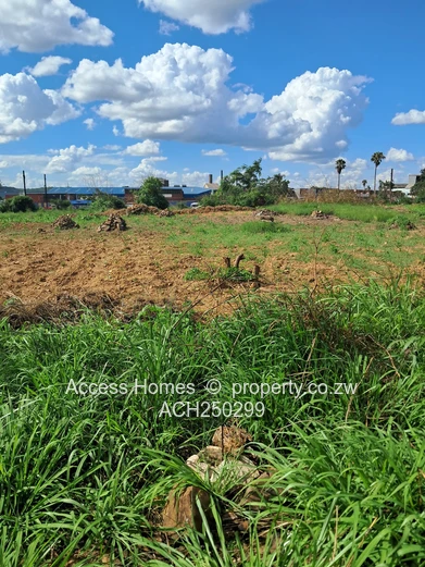 Southerton behind Gomo hospital 