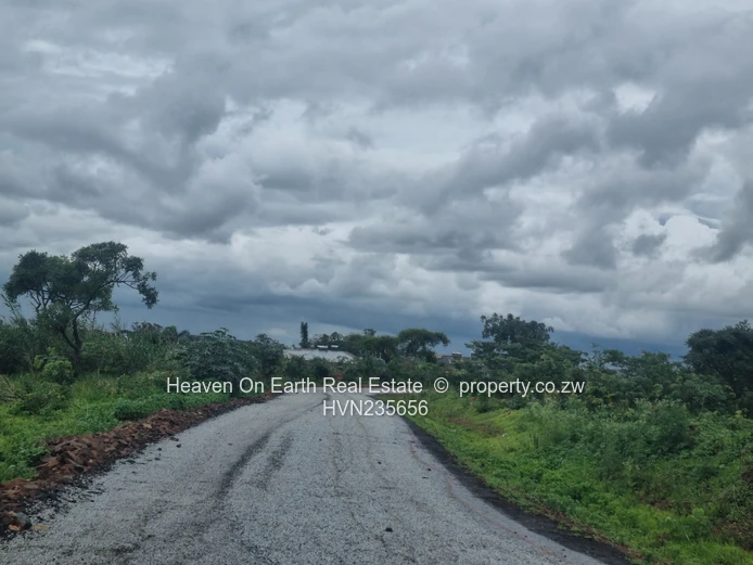 Beautiful stands for sale 