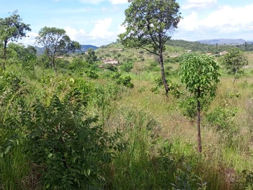 Prime 1100m² Land in Crowhill 