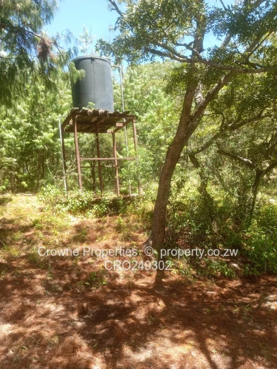 Plot For Sale