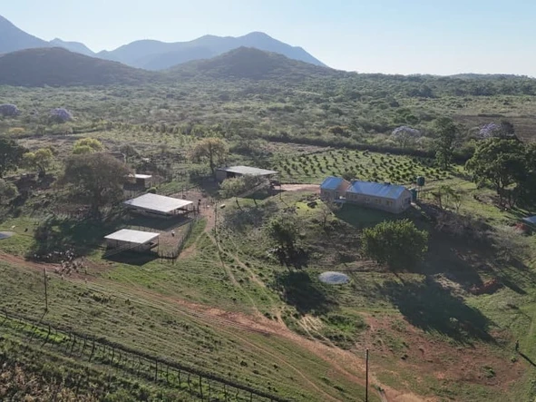 Farm & Agricultural Land