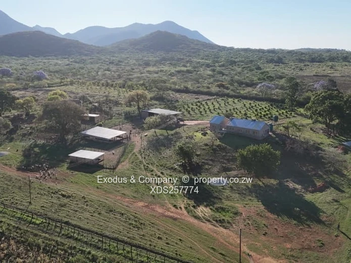 Plots for sale