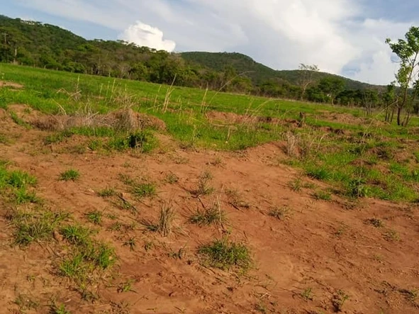 Farm & Agricultural Land