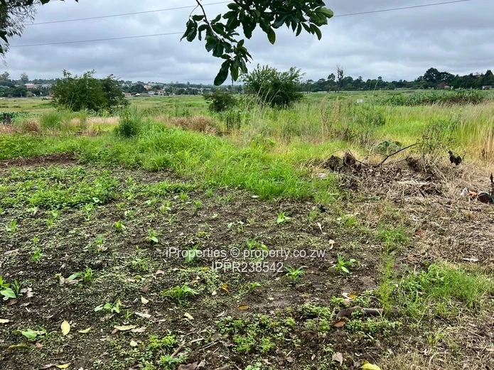 3,300sqm Stand with Title Deeds and Serviced 3-Bedroom Cottage