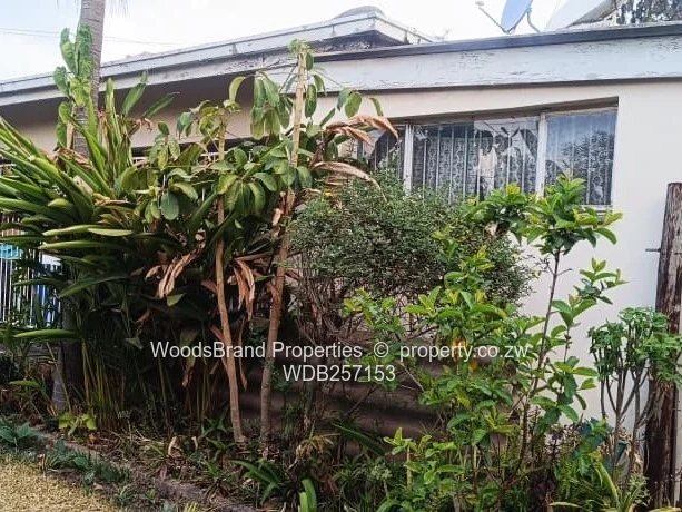 Mabelreign house for sale