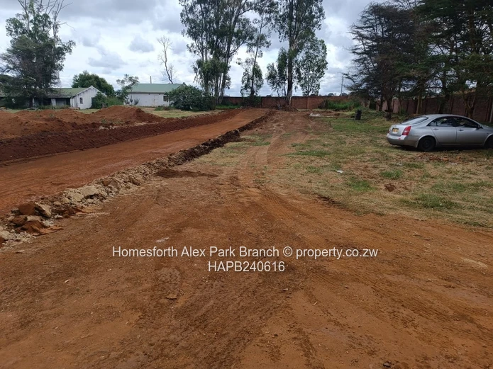 Borrowdale Tall Trees Estate Stands on Sale