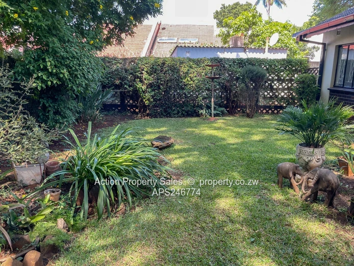 Garden Flat To Rent In Avondale 