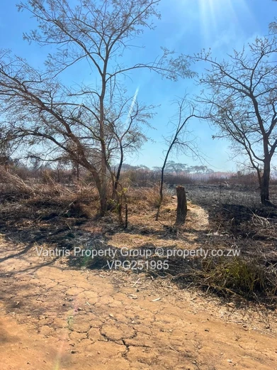 Sawara hills Residential stands for sale