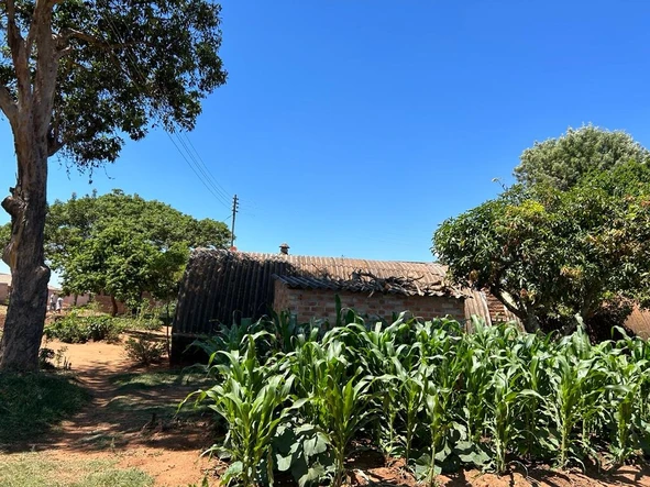 Farm & Agricultural Land