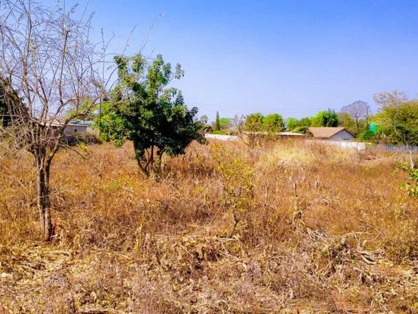 Stands & Residential Land