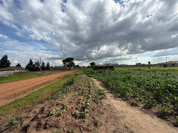 Stands & Residential Land