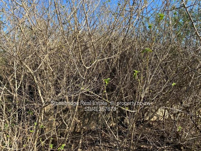 2.867Ha Plot in Kensington For Sale