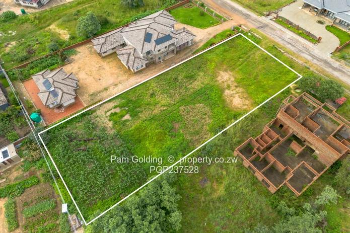 Arlington stand for sale