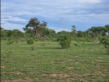 Farm & Agricultural Land