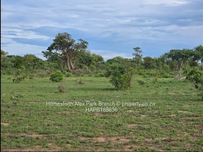 Kadoma Clonmoran Plot 