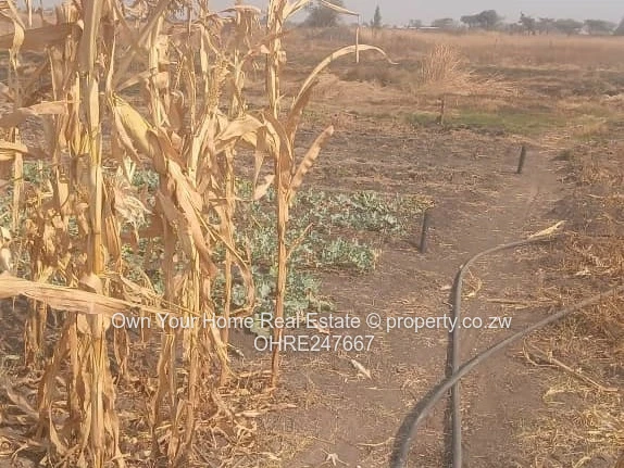 Rainham Plot 45k.1hacters.Zvimba Council Cession.