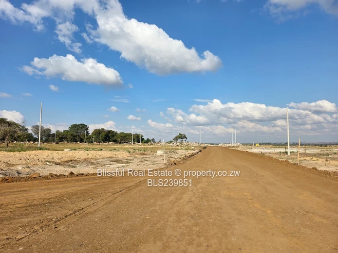 Hatfield Stands For Sale