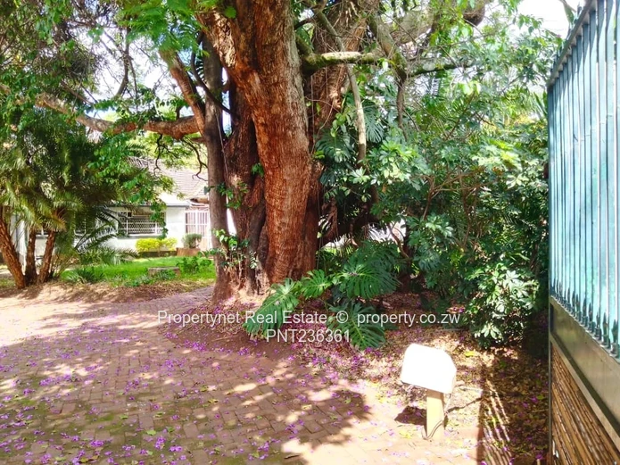 Prime Mount Pleasant Property for Sale!