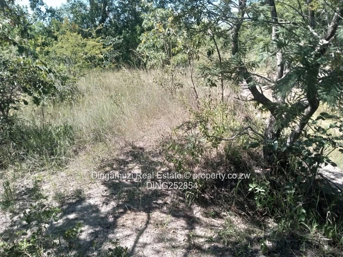Plots in Mvuma