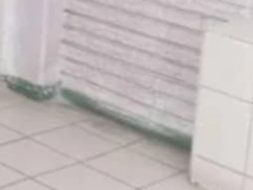 4 Bedroom Garden Flat