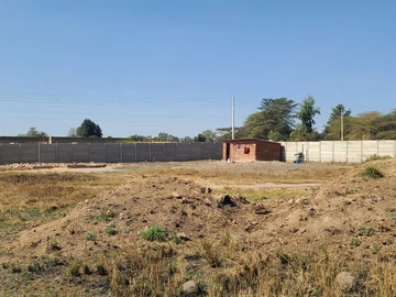 Stands & Residential Land