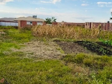 Stands & Residential Land