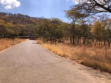 Hotel & Lodge