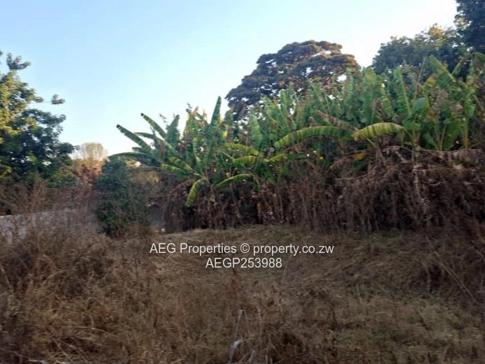 Mount Pleasant 3-Bed Home — Large Yard & Borehole