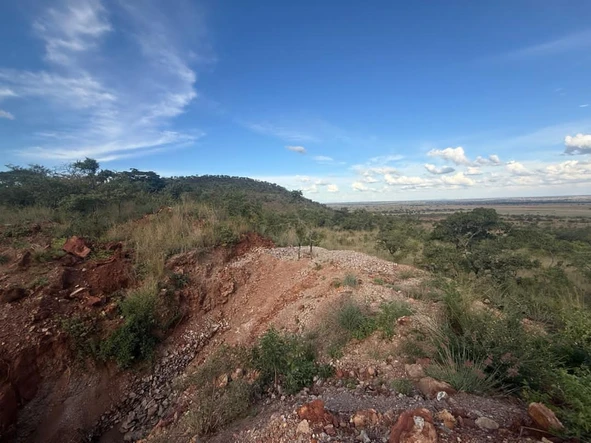 Farm & Agricultural Land