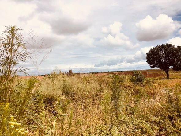 Commercial & Industrial Land