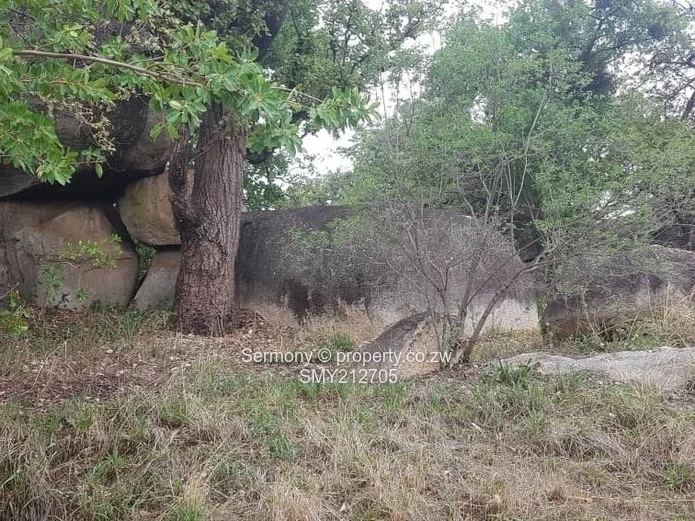 Ruwa Mandalay Plot To Let