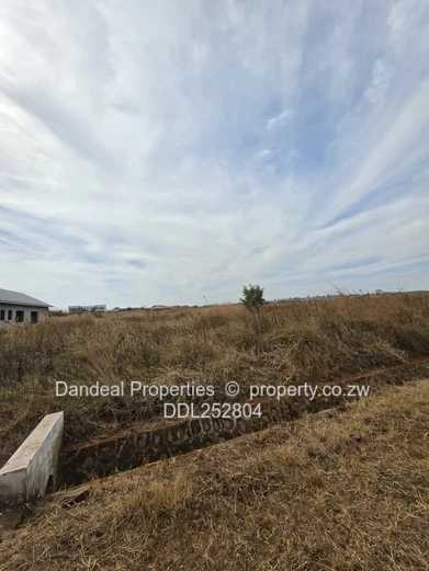 A choice of 3 stands. 2000 sqm Pomona Stand on Paved Road with Drainage