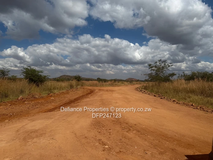 Terms Terms Terms Doornfontein
